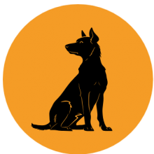 Perros